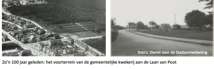 Loods - voorterrein kwekerij